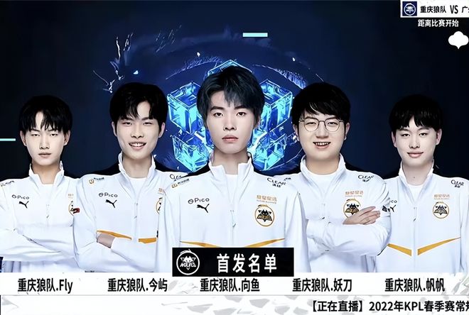 维质量